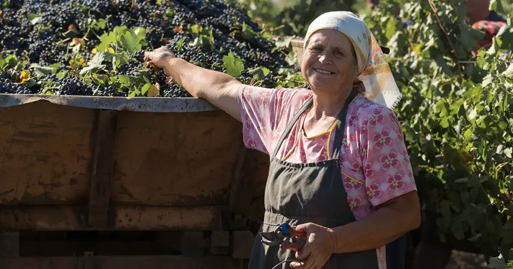 aposentadoria rural